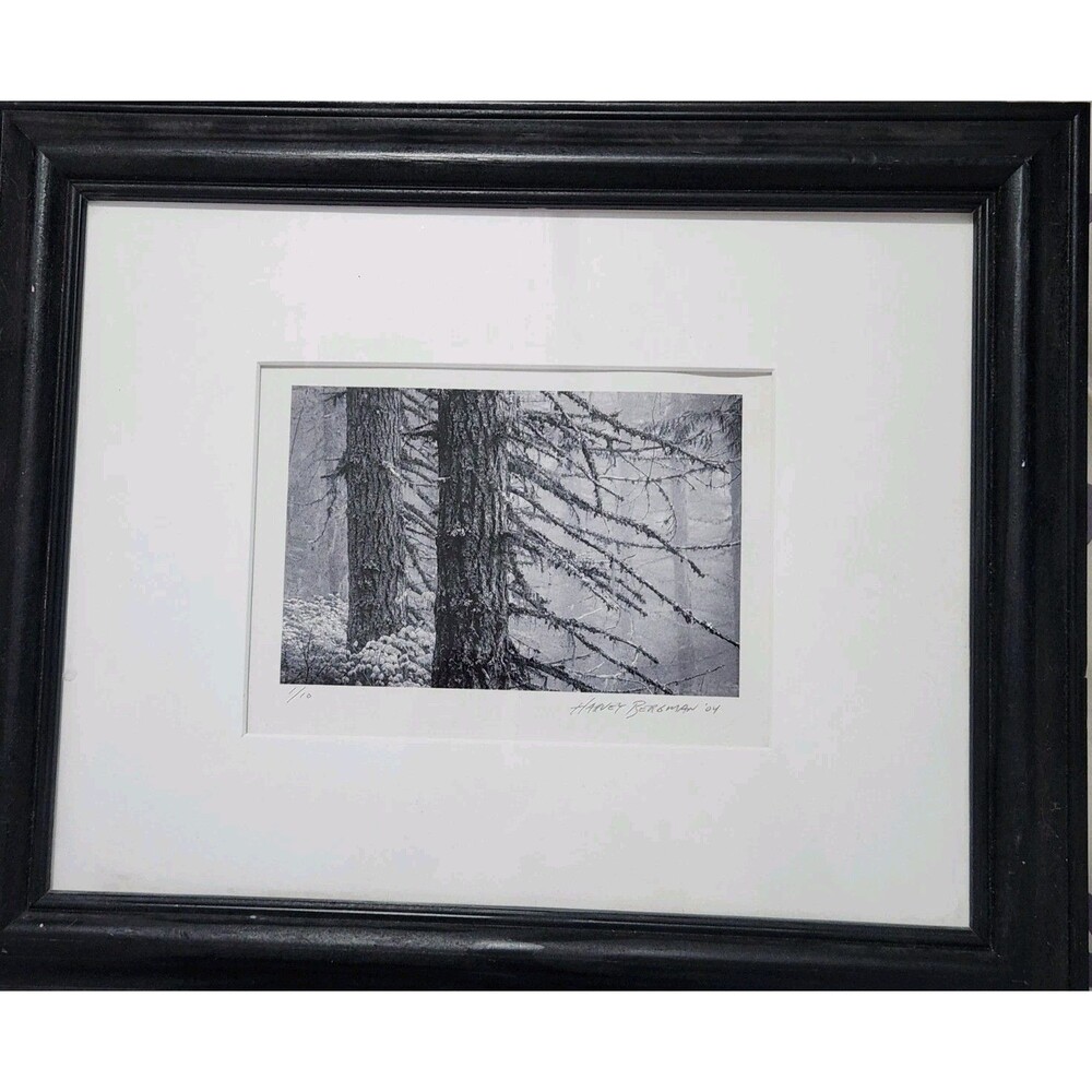 Harvey Bergman Signed Photo 1/10 Limited Edition B&W Winter Forest 2004 17"x14"